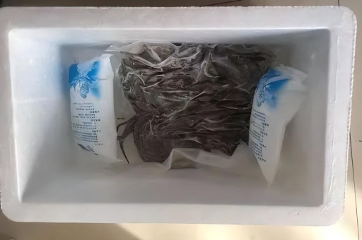 如何快速修改淘宝收货地址？详细步骤解析！